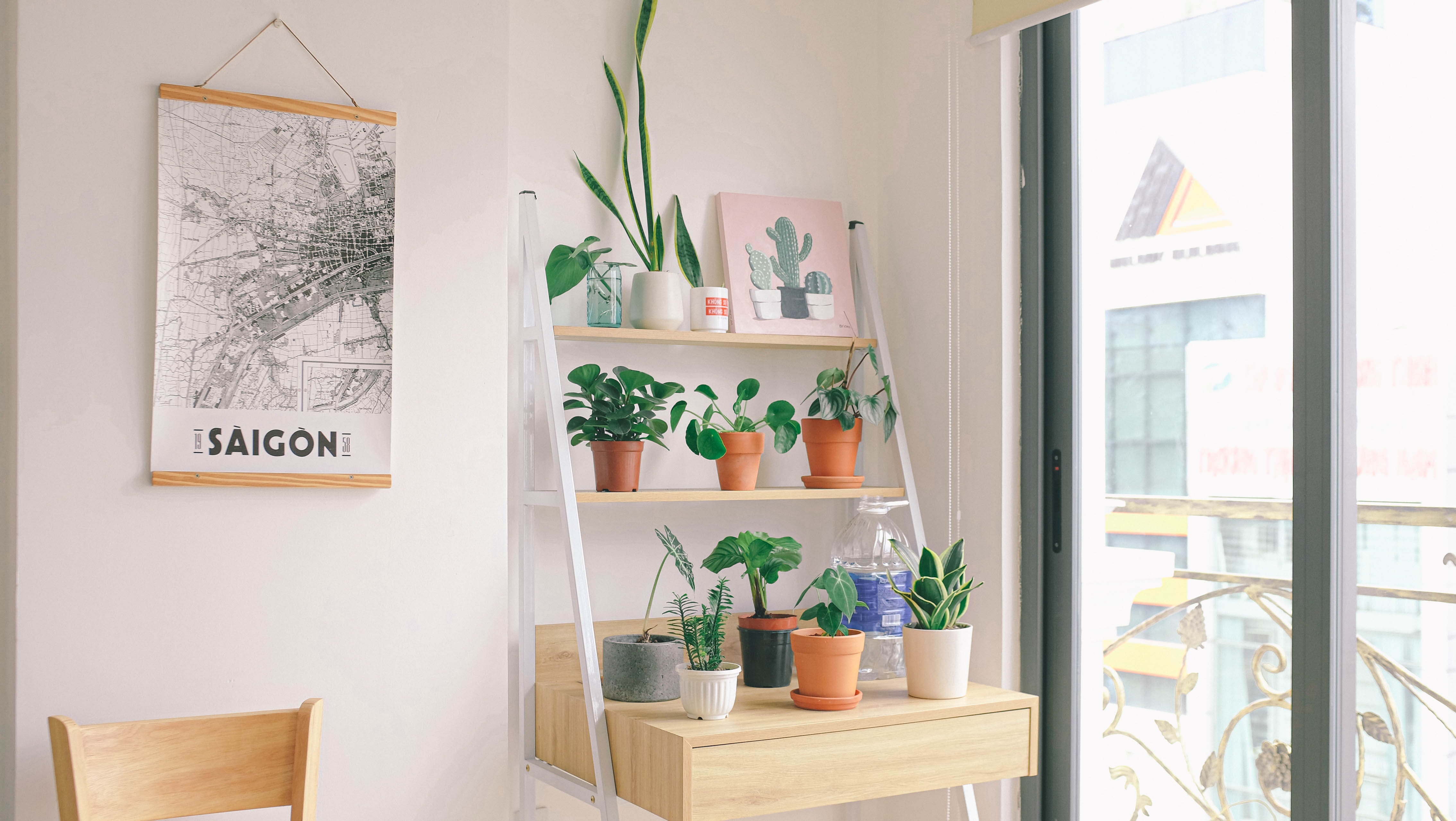 Photo by Huy Phan: https://www.pexels.com/photo/flower-pots-on-brown-wooden-table-near-glass-wall-2934084/

plants on display, green thumb, apartment plants, indoor plants, desk plant, plants near window