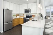 Kitchens with Stainless Steel Appliances 