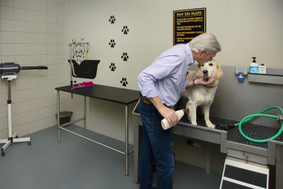 Paw Spa with Wash and Dry Station