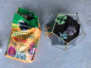 DIY Succulent Terrarium Step 3