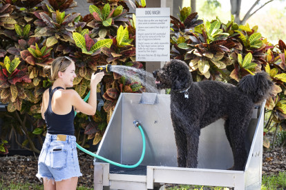 Dog grooming station at Camden Preserve apartments in Tampa, Florida.