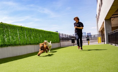 Community Dog Park with Turf