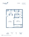 Blueprint of Birch Floor Plan, 1 Bedroom and 1 Bathroom at Camden Amber Oaks Apartments in Austin, TX