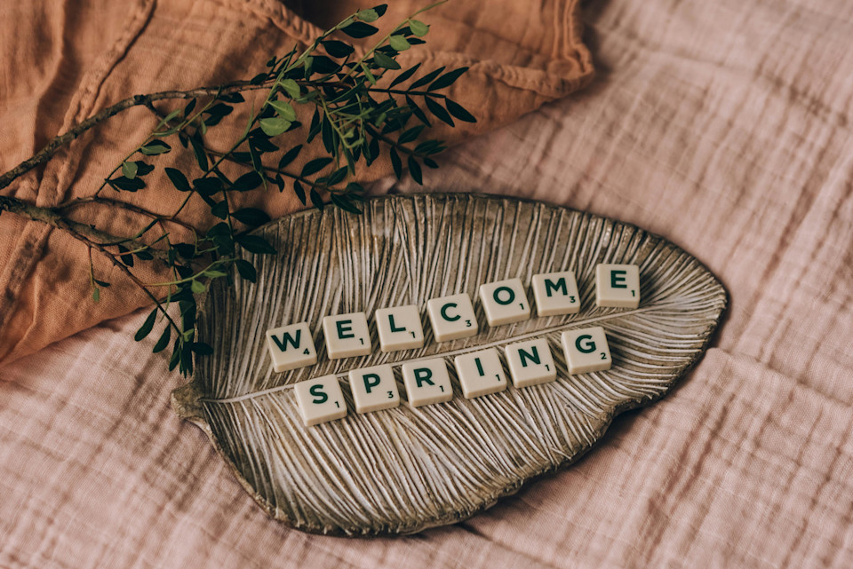Photo Courtesy of Polina Kovalena via Pexels