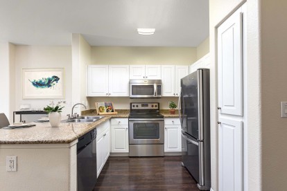 Traditional style kitchen stainless steel appliances and granite countertops