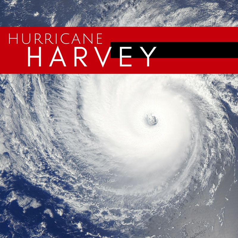 Photo courtesy of Canva