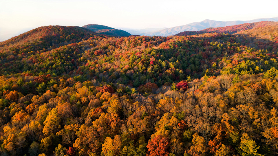 Photo Courtesy of Pexels.com, Ruvim Miksanskiy