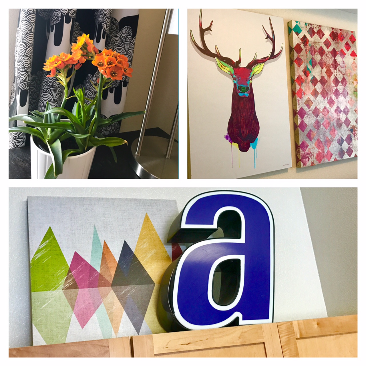 My Camden Apartment - A bright flower in a simple white pot, brighten up any space. Colorful art pieces are a sure stand out! 
