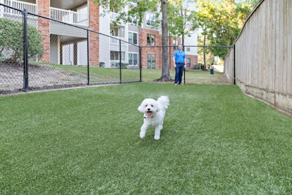 Onsite dog park with seating at Camden Heights Apartments in Houston, TX