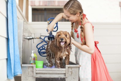 Midtown pet friendly onsite dog park with agility course and pet wash station