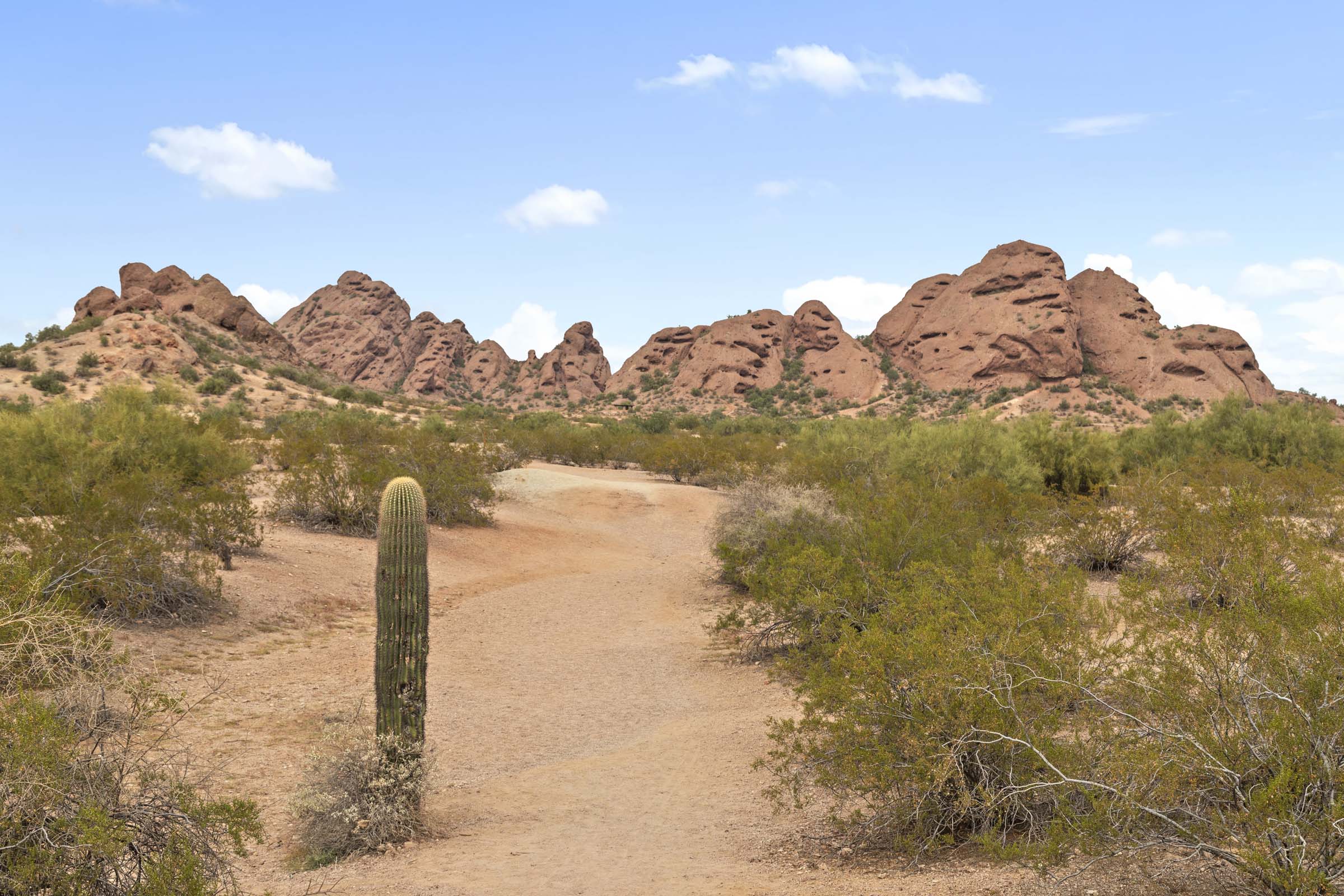 Camden Tempe Apartments Tempe Arizona Neighborhood Papago Park Hiking Trail 