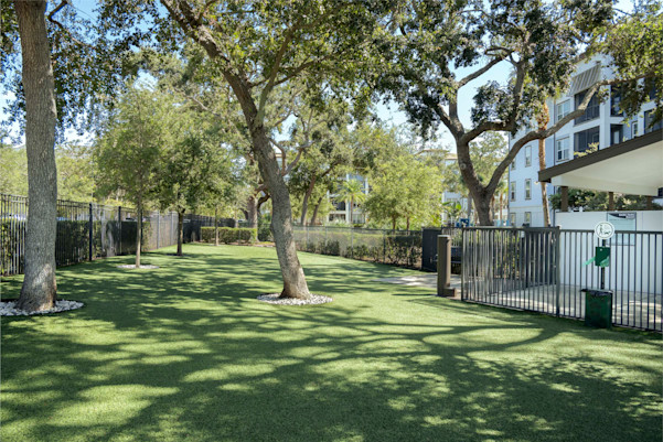 camden clearwater apartments in clearwater, fl outdoor dog park