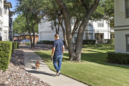 Resident walking a dog on a sidewalk in a courtyard at Camden Legacy Park