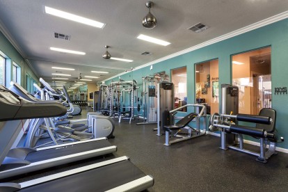 Fitness center weight machines cardio machines