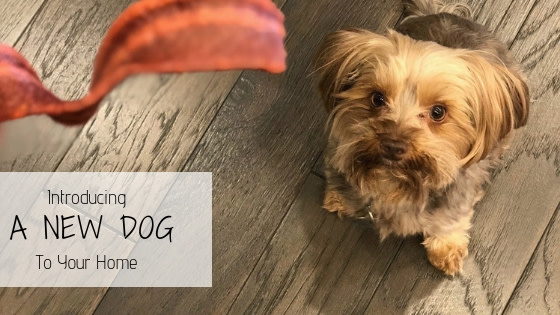 Photo courtesy of Nicole Garner