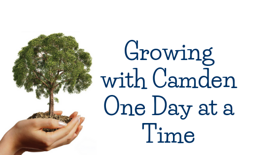 Photo courtesy of Camden and Created with Canva