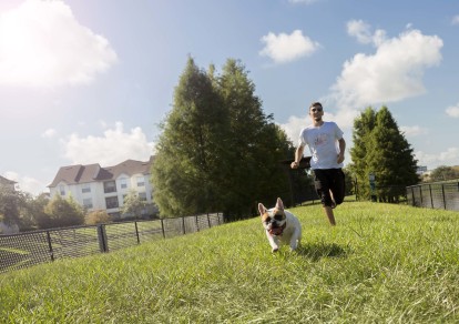 Gated dog park