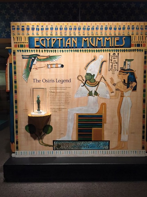 Part of the Egypt Exhibit at Denver Museum of Nature and Science
