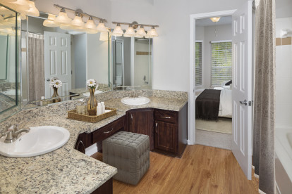 Traditional style bathroom with granite-style countertops and double sink vanity
