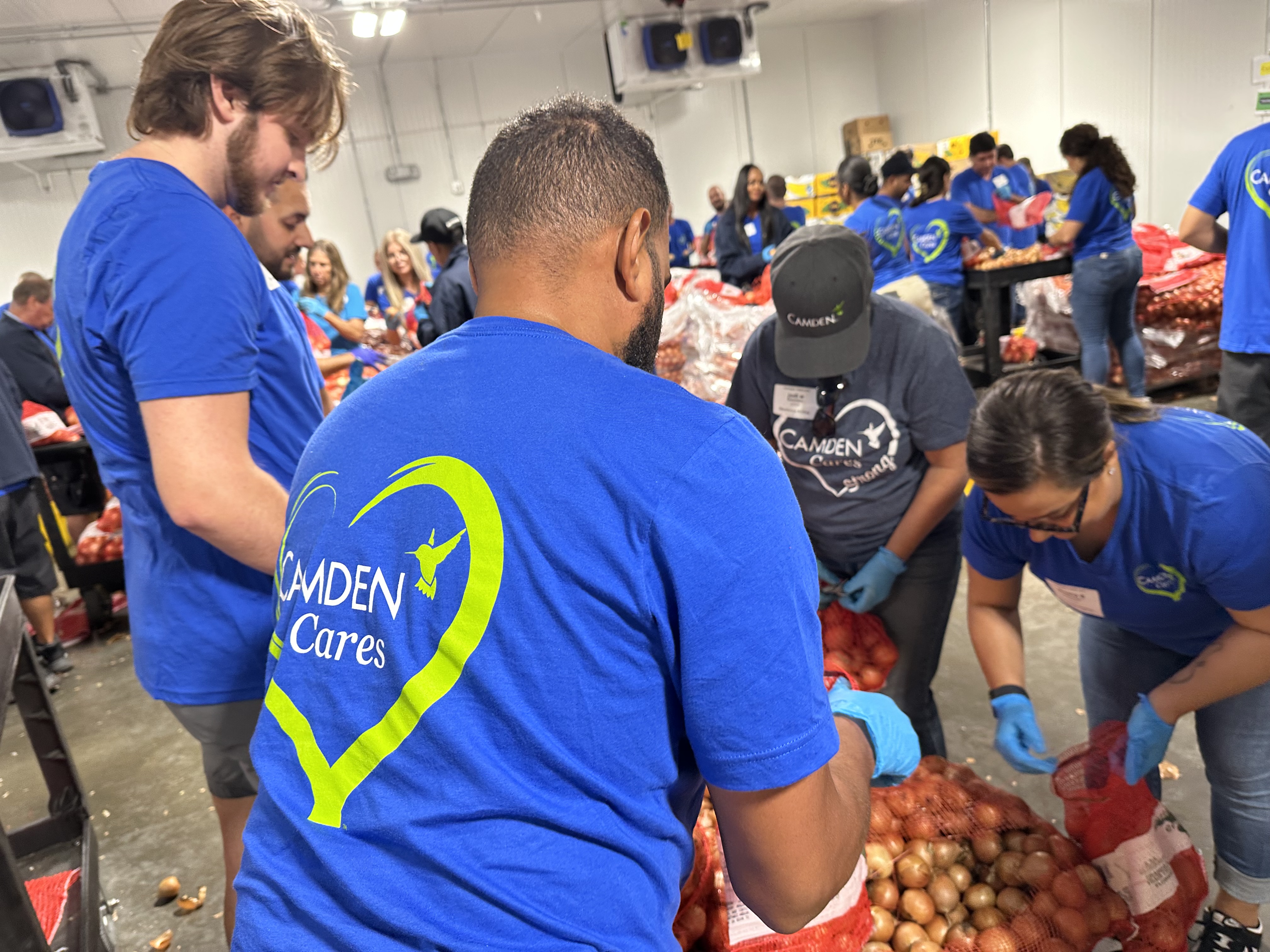Camden team members volunteering at Feeding Tampa Bay, sorting food donations