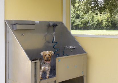 No need to dirty up your bathtub. Visit our dog grooming station near the dog park at Camden Montague apartments in Tampa, Florida.