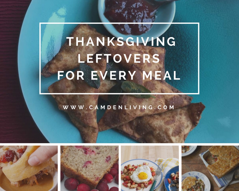 Photo courtesy of http://canva.com