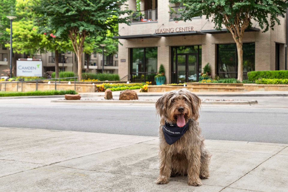 Photo courtesy of Camden