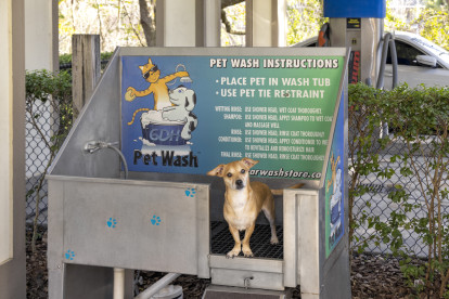 Save your bathtub and wash your dog at the pet wash station.