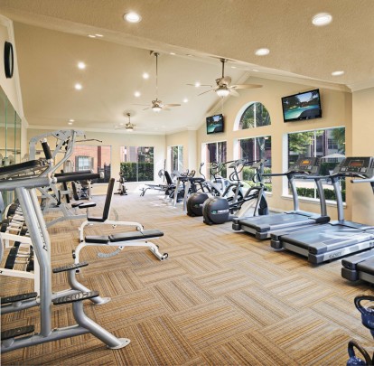 Fitness center with cardio and free weights at Camden Holly Springs Apartments in Houston, TX