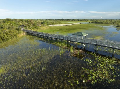 Chapel Trail Nature Preserve near Camden Portofino in Pembroke Pines, Florida