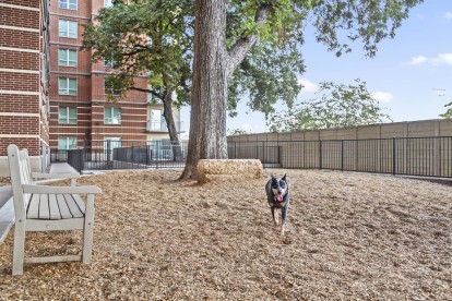 Onsite, gated dog park with bench seating at Camden Rainey Street apartments in Austin, TX