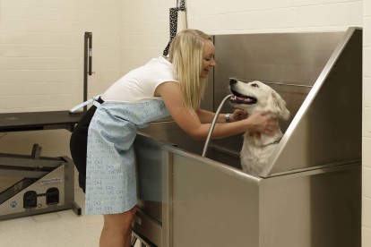 Paw spa pet grooming lounge