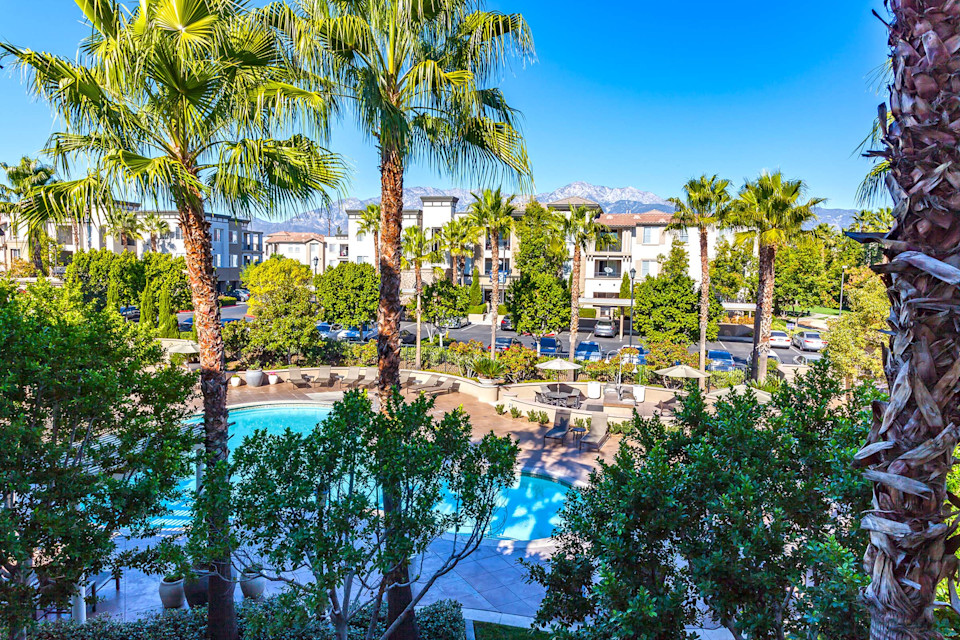 Photo courtesy of Camden