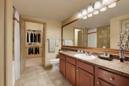 Traditional Style bathroom with ample counter space and walk-in closet