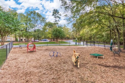 onsite private dog park with agility equipment