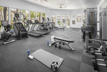 24 hour fitness center with dumbbells weight machines stretching area and cardio machines