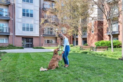 Pet friendly community at Camden College Park