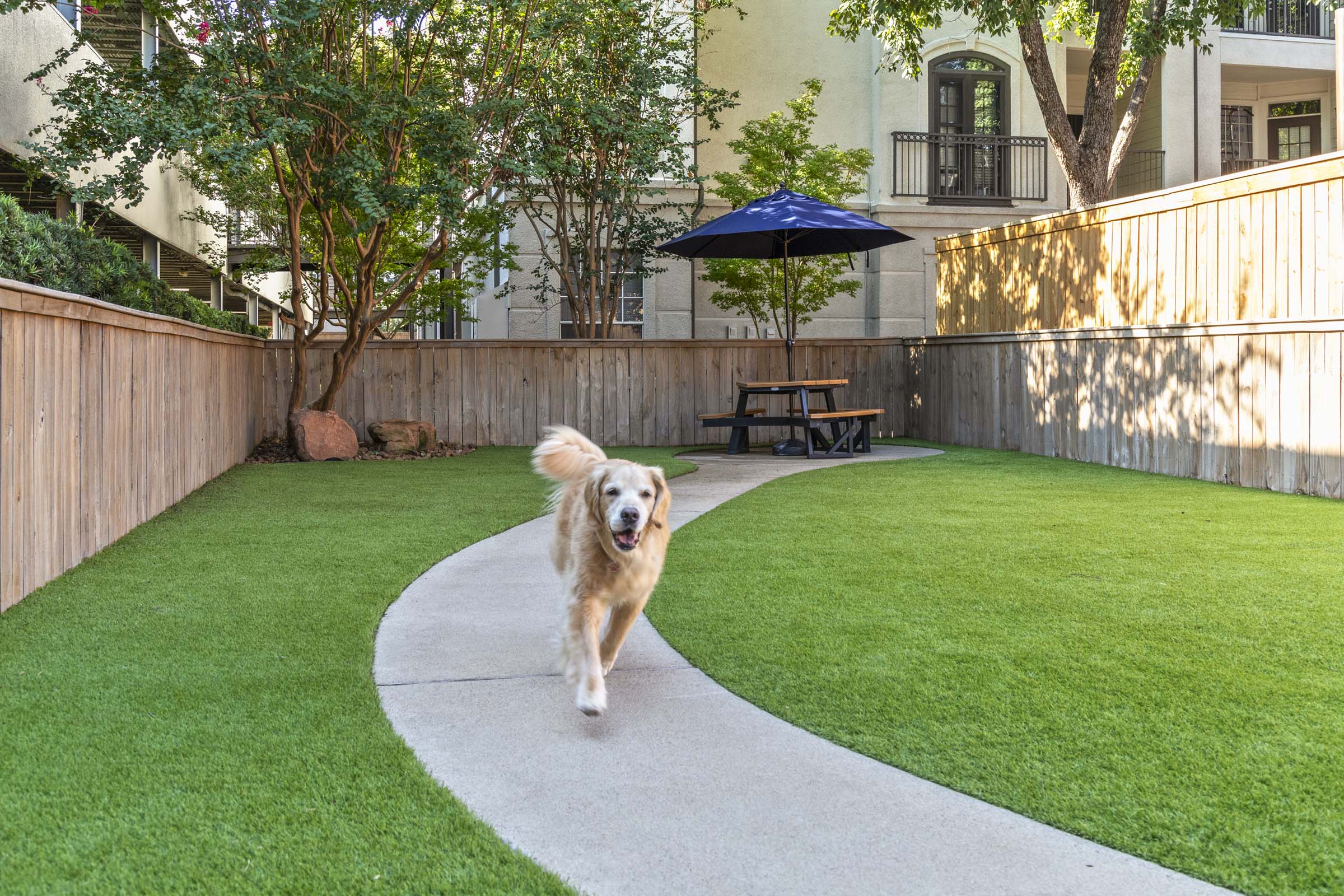 Private dog park at Camden Midtown Apartments in Houston, TX