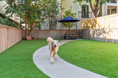 Private dog park at Camden Midtown Apartments in Houston, TX