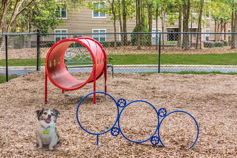 Photo courtesy of Camden