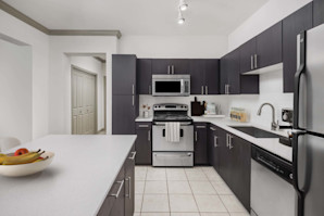 Kitchen with stainless steel appliances and quartz countertops at Camden Asbury Village apartments in Raleigh, NC.