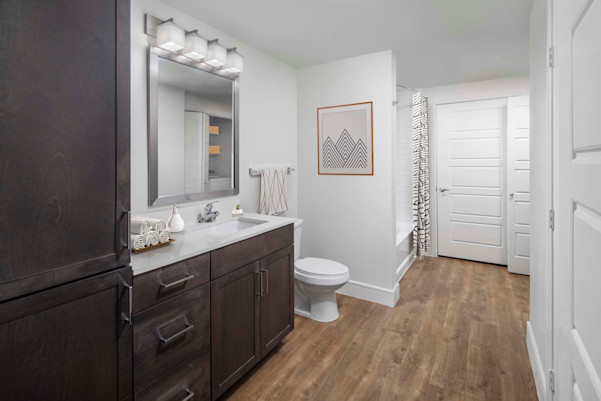 Flats one bedroom large bathroom with brown cabinets at Camden Greenville