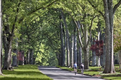 Nearby neighborhood trails