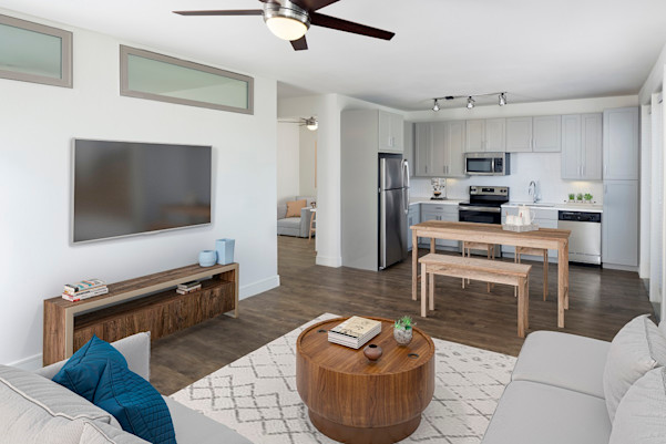 Flats gray style kitchen and living room with wood-style flooring
