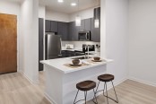 Kitchen with gray modern cabinets and white quartz countertops at Camden Plaza in Houston, TX 