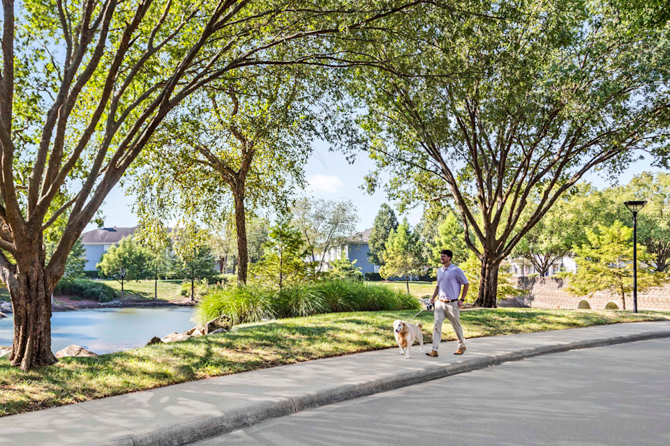 Photo Courtesy of Camden