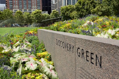 Near discovery green