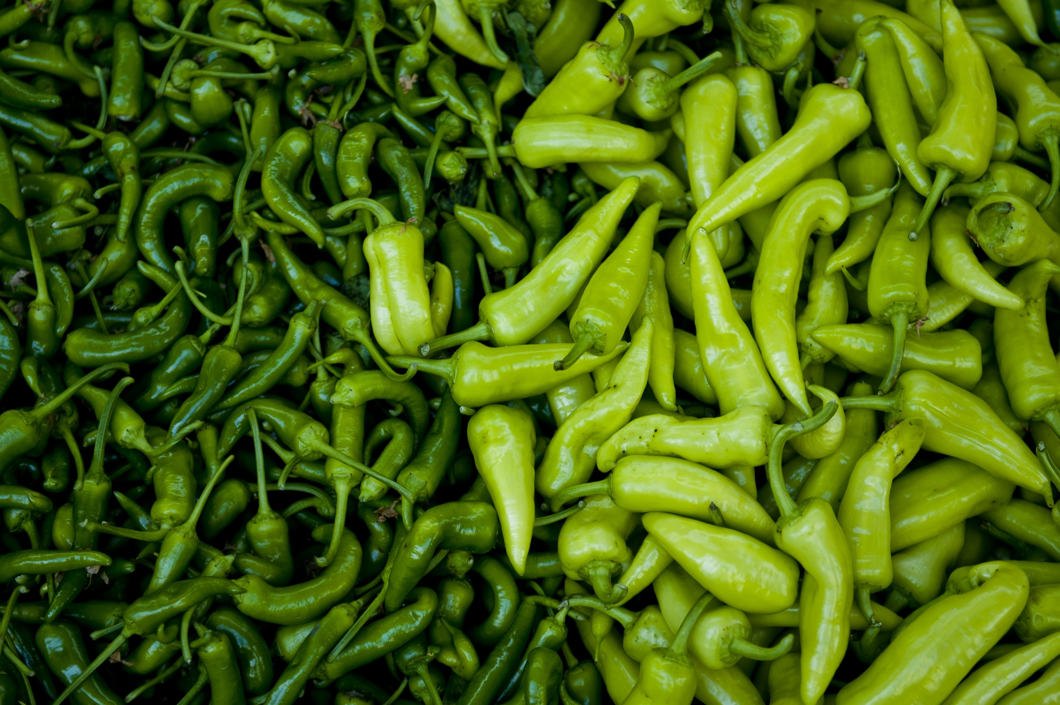 Picture of various peppers