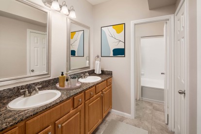 Traditional style with double sink vanity and large soaking bathtub at Camden Midtown Apartments in Houston, TX