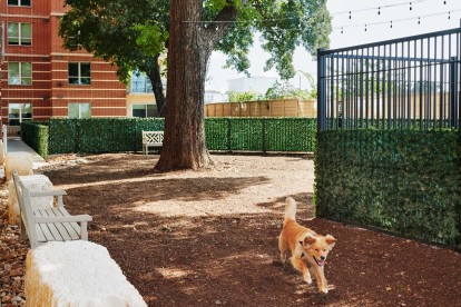 Fenced private dog park